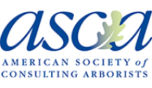 American Society of Consulting Arborists logo.