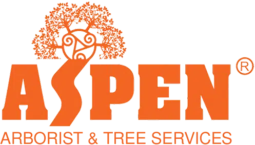ASPEN ORANGE