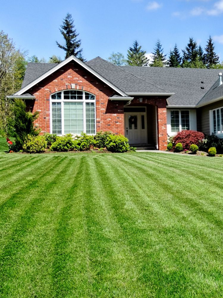 A home in Clifton, NJ with a beautiful green healthy lawn.