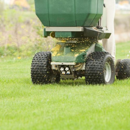 Powered fertilizer spreader applying a spring lawn care fertilization.