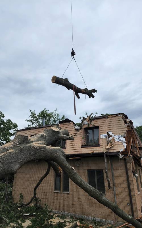 ASPEN-website-emergency-services-section-tree-hit-house-hanging