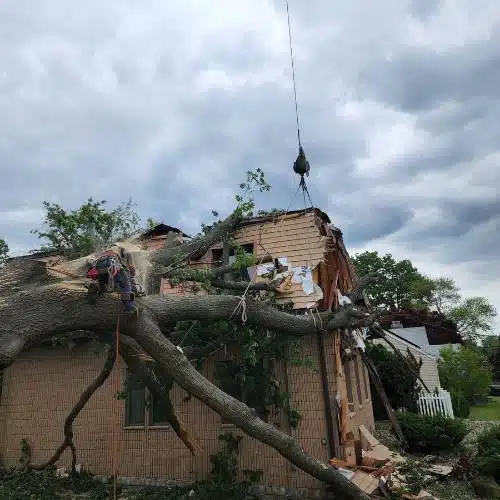 ASPEN-website-emergency-services-section-tree-hit-house