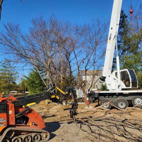 A crane is being used to remove a tree near a home.