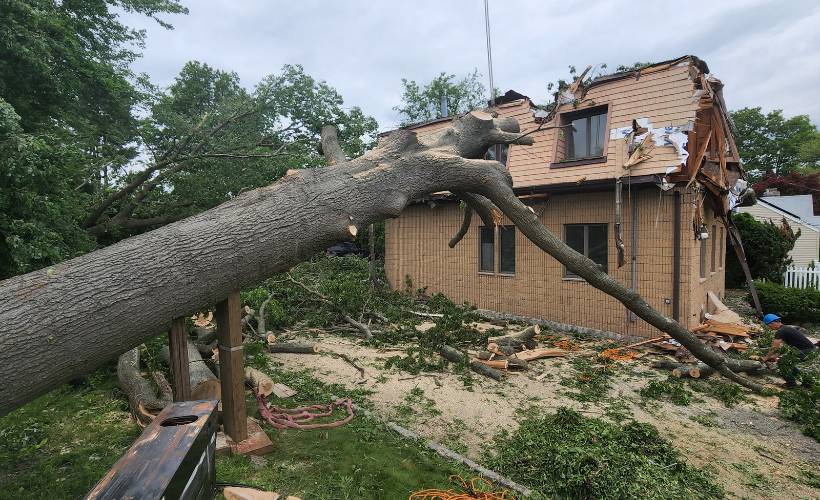 A large tree has been blown over in a storm and is laying on top of a two-story home.