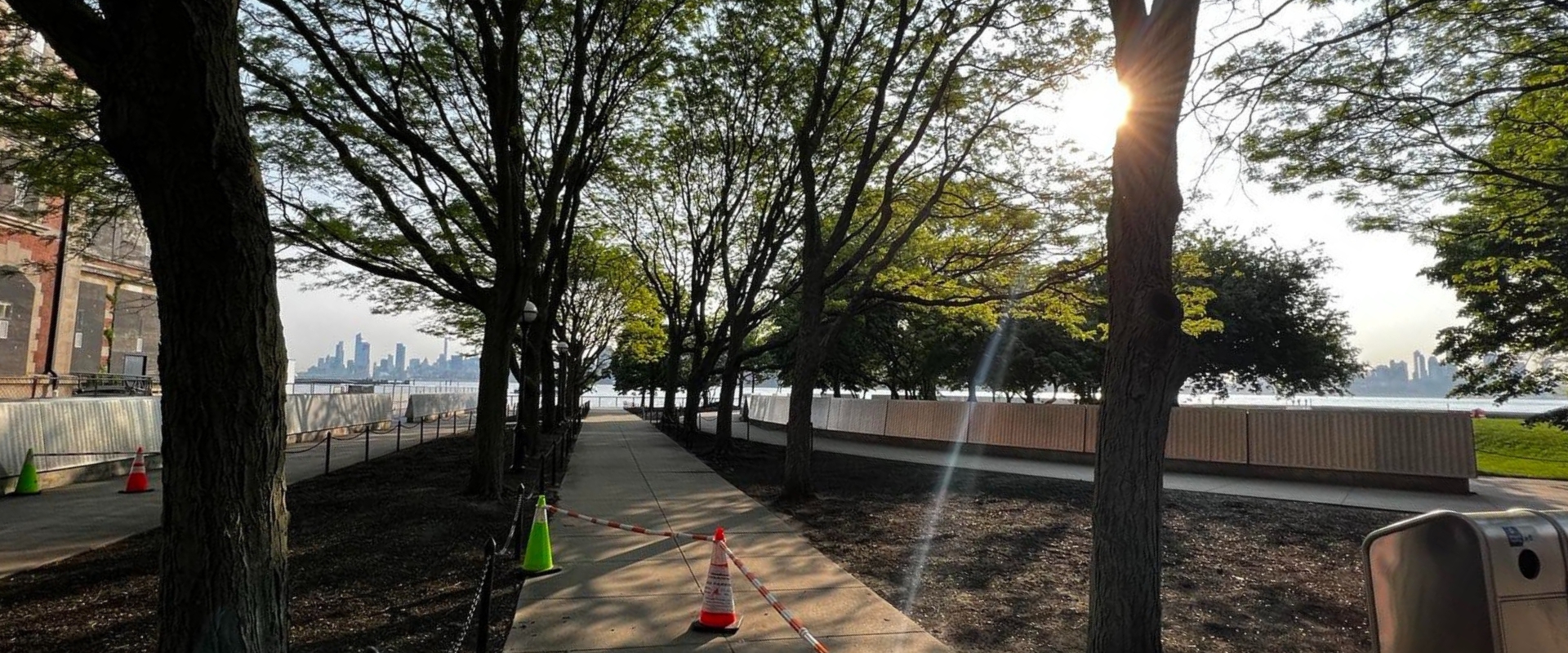 Trees in an urban environment in Clifton, NJ, that are more prone to stress in the summer.