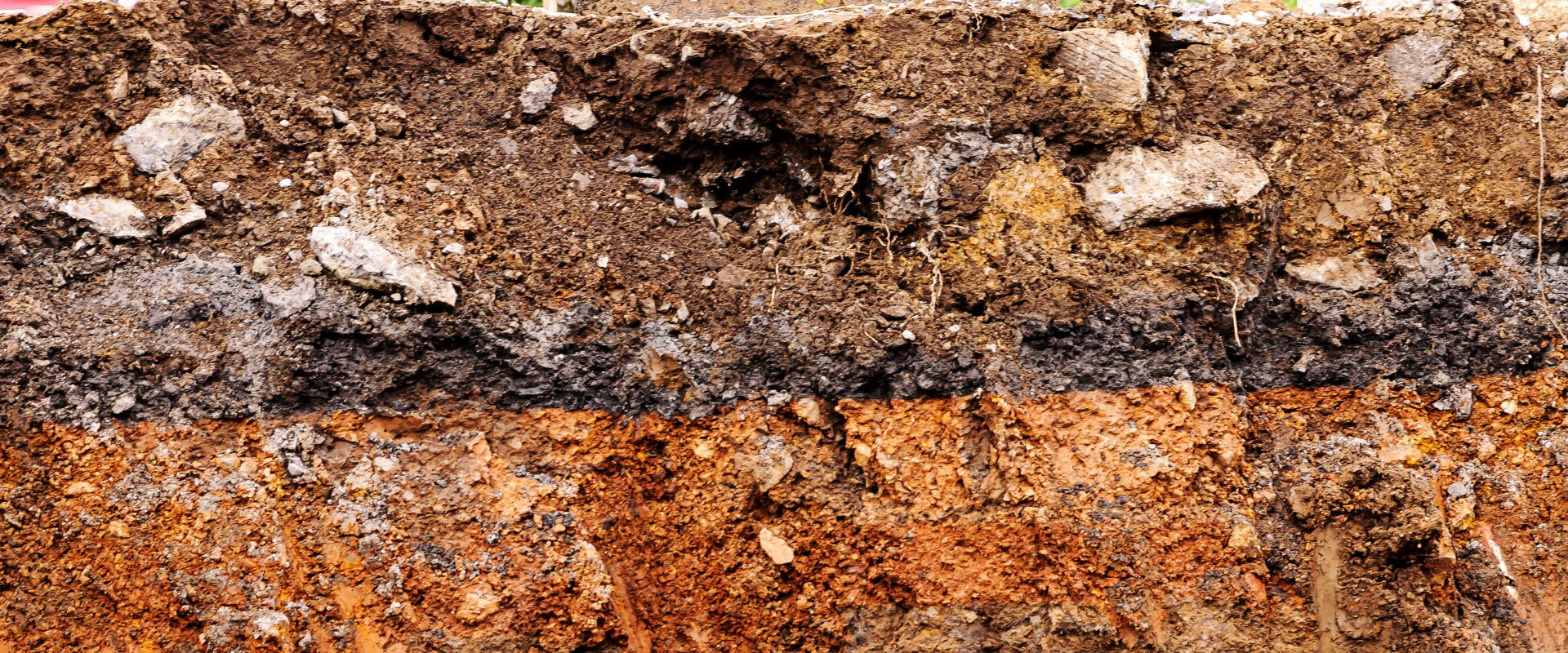 Soil layers.