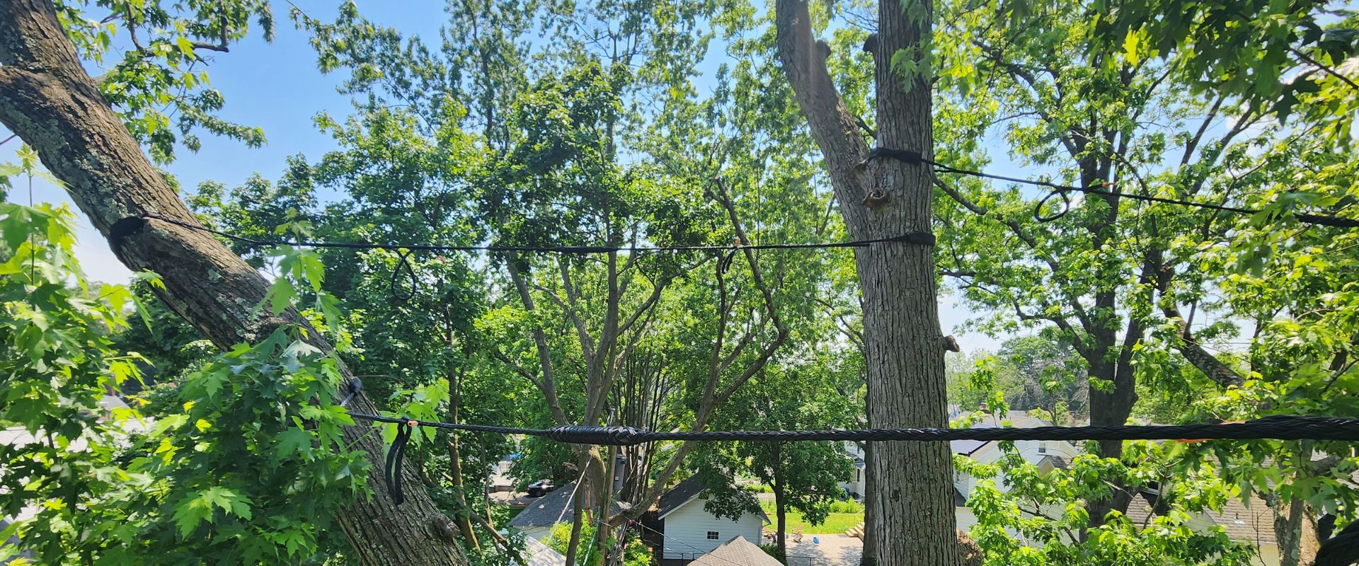 A successful cabling job by Aspen Tree Service above a home in Northern New Jersey.