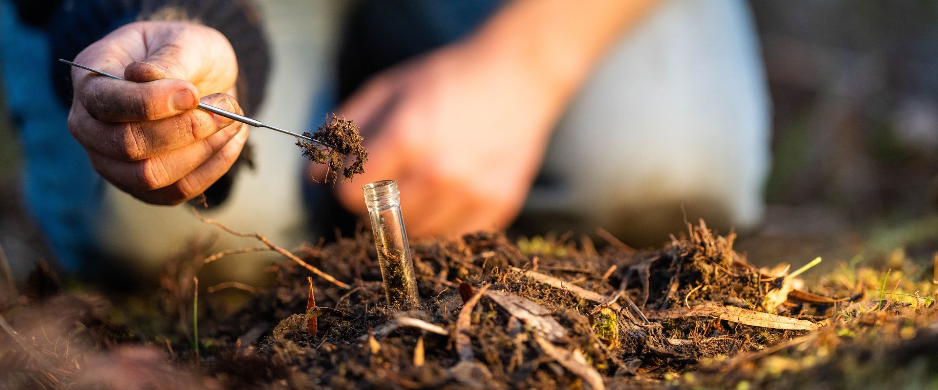 An arborist conducting a soil test in Cedar Grove, NJ.