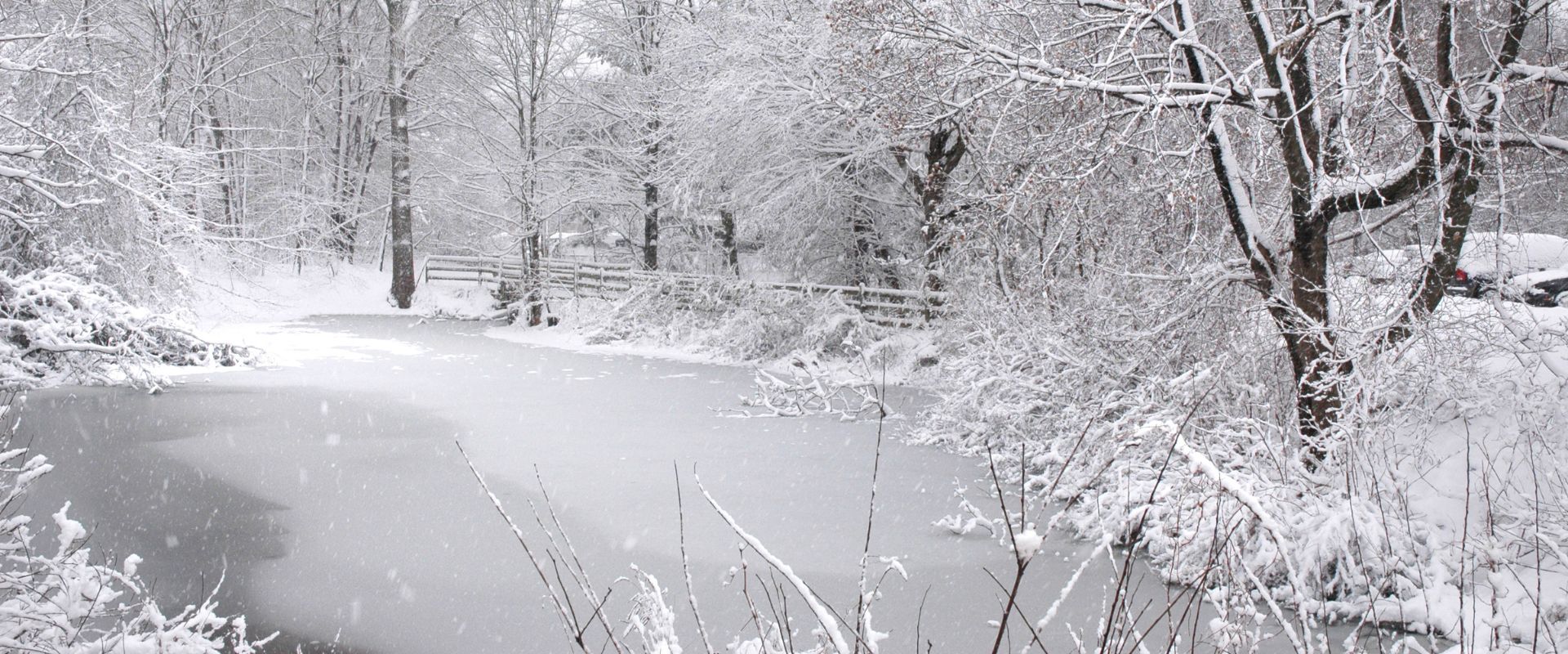 Snow-covered trees by a lake outside of Clifton, NJ.