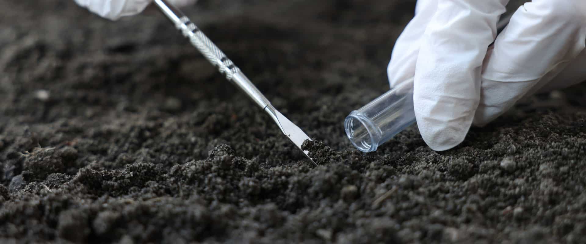 A gloved hand uses a metal probe to collect a soil sample into a glass test tube for laboratory analysis.