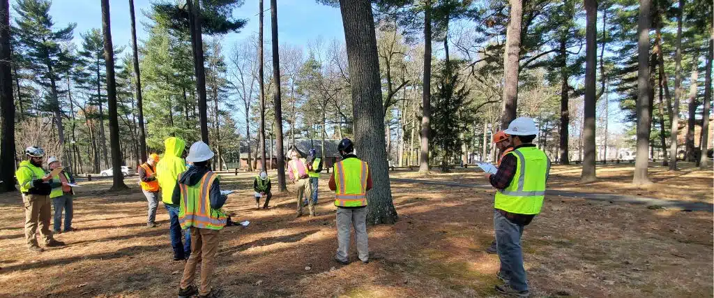 Oak Wilt Threatens New Jersey’s State Tree 3 Our team can inspect your trees, perform tests, and get to the root cause of the issues facing your trees.