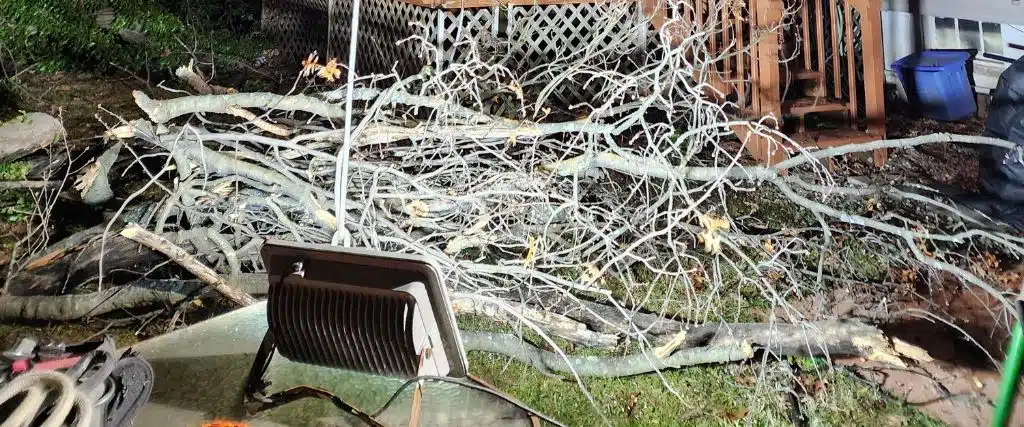 The 5 Benefits of Tree Pruning Every Northern New Jersey Homeowner Should Know 3 The Aspen Tree team using a crane to clean up fallen branches after a storm in Bergen County, NJ.