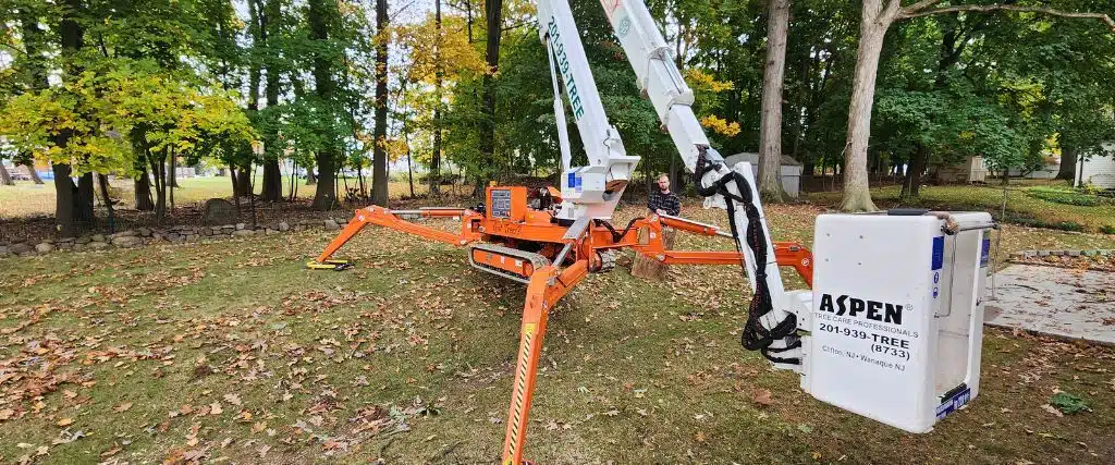 The 5 Benefits of Tree Pruning Every Northern New Jersey Homeowner Should Know 1 The Aspen Tree spider lift ready to prune trees in Cedar Grove, NJ.