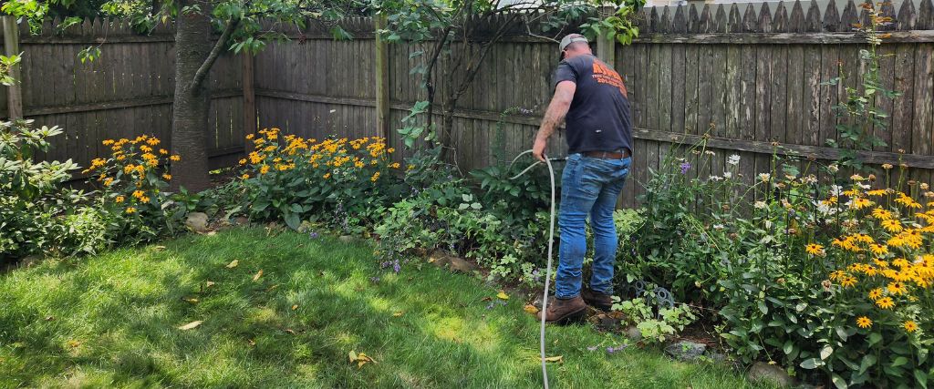 A tree health technician from Aspen Tree applying a tree fertilization treatment based on the results of a soil test.