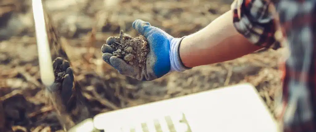 Are These Soil Problems Harming Your Trees? 3 A man holding a handful of light brown soil as he checks for soil compaction in a Hasbrouck Heights, NJ neighborhood.