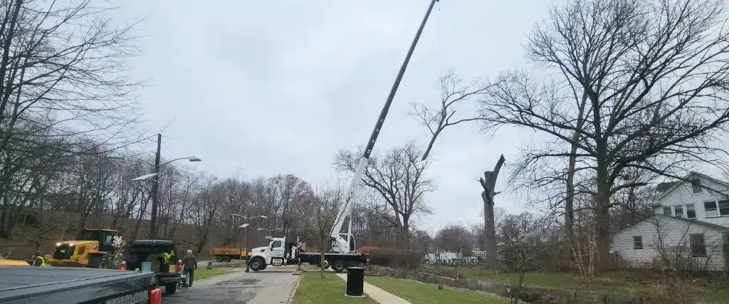 The 6 Benefits of Winter Tree Removal for Northern New Jersey Homeowners 3 The Aspen team using a tree removal crane to lift a tree in North Caldwell, NJ.