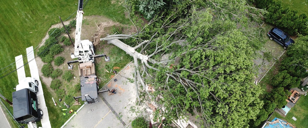An overhead view of the Aspen Tree team assessing and removing a downed tree from a storm in Clifton, New Jersey, by using a crane.