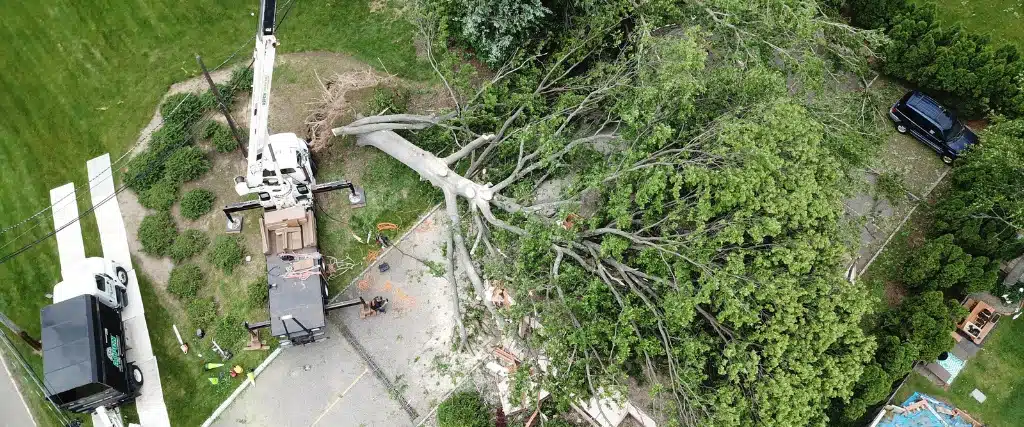 Hurricane Aftermath in Northern NJ: Your 24-Hour Tree Safety Checklist (And When to Call the Experts) 1 An overhead view of the Aspen Tree team assessing and removing a downed tree from a storm in Clifton, New Jersey, by using a crane.