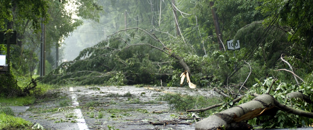 Storm-damaged trees blocking residential street in Northern New Jersey with downed power lines and utility poles after hurricane, demonstrating need for PSE&G coordination before tree removal.