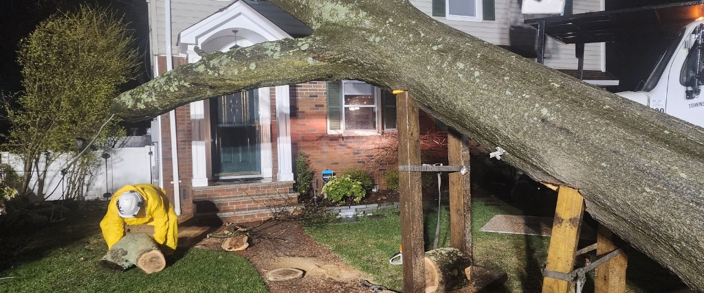 Aspen Tree Service crew performing emergency tree removal in North Caldwell after hurricane damage, using crane for safe extraction.