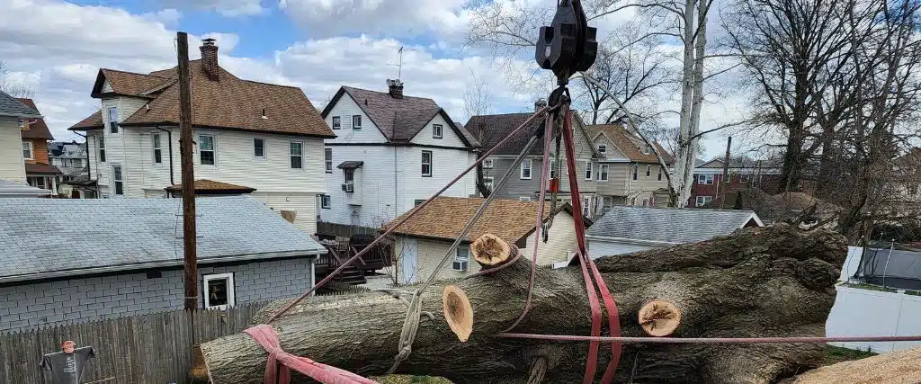 A Homeowner’s Guide for Inspecting Winter Tree Damage in New Jersey 2 The Aspen Tree team removing a tree that was downed by a winter storm in North Caldwell, NJ.