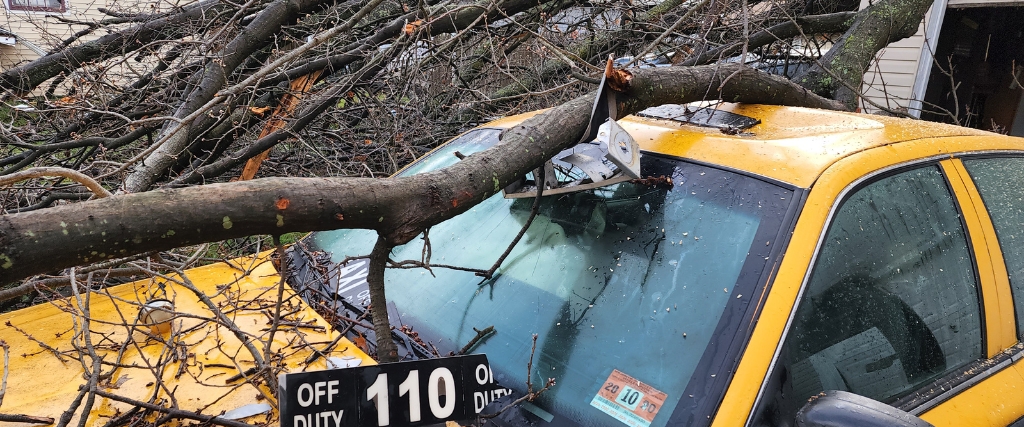 How to File a Tree Damage Insurance Claim After a Winter Storm in New Jersey 1 A tree that has fallen on a yellow taxi cab in Northern New Jersey, demonstrating the type of photo documentation needed for insurance claims.