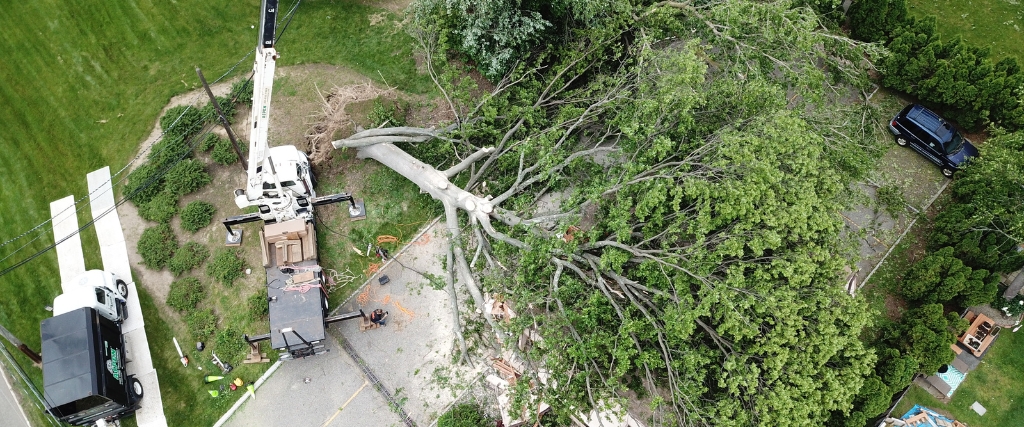 How to File a Tree Damage Insurance Claim After a Winter Storm in New Jersey 3 An aerial view of Aspen Tree Service's professional equipment removing a large fallen tree from a Northern New Jersey property.