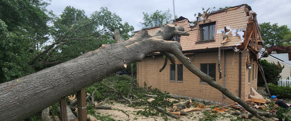 How to File a Tree Damage Insurance Claim After a Winter Storm in New Jersey 2 A large oak tree collapsed onto a residential home in Northern New Jersey, causing significant structural roof damage.