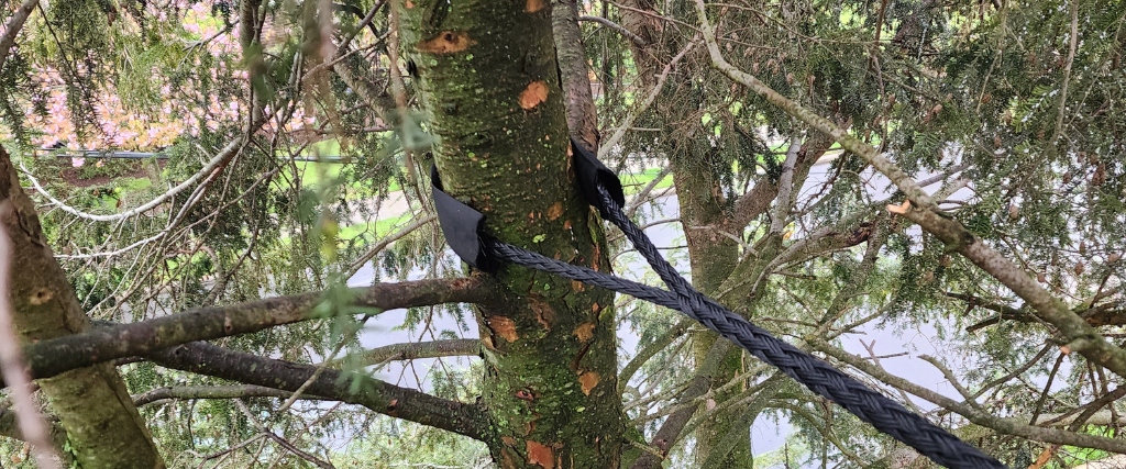 Licensed Tree Experts vs. Tree Care Operators in New Jersey: What Homeowners Need to Know 1 Professional tree cabling and rigging work performed by a Licensed Tree Expert in a Northern New Jersey residential neighborhood.