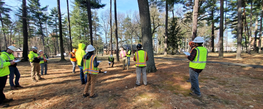Fall Tree Risk Assessment: Protect Your Northern NJ Property Before Winter Storms 1 TRAQ-certified arborists receiving professional tree risk assessment training in a New Jersey park setting.
