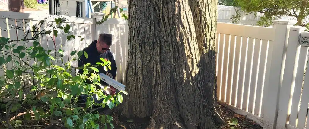 What Does a Professional Tree Health Assessment Include in Northern NJ? 2 Arborist using a resistograph tool to assess internal decay in a large tree trunk in a residential backyard in Montclair, New Jersey.