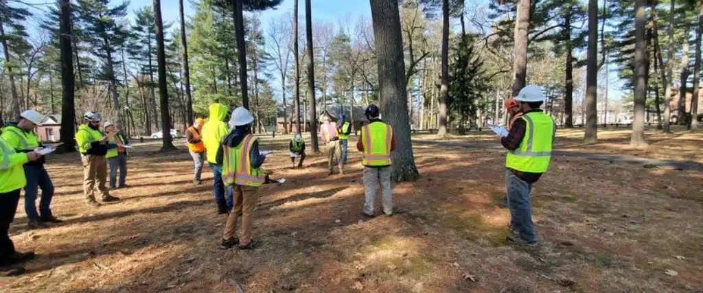 What Does a Professional Tree Health Assessment Include in Northern NJ? 3 Group of arborists in safety vests and hard hats conducting an outdoor tree risk assessment training exercise among mature trees.