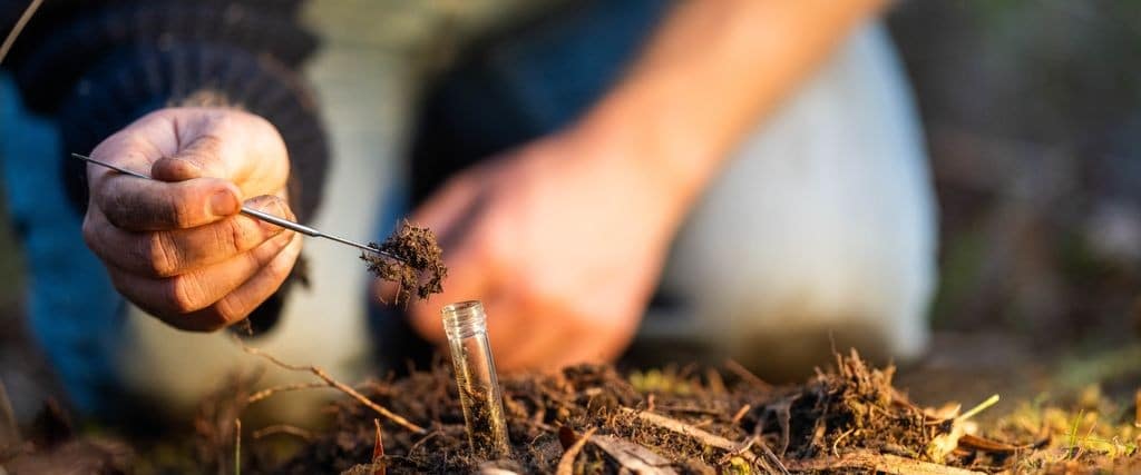 A person kneeling outdoors uses a thin probe to transfer a soil sample into a small glass collection vial placed in the ground.