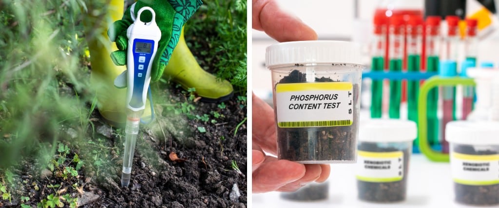 A digital pH meter inserted into garden soil alongside a hand holding a labeled phosphorus content test sample container.