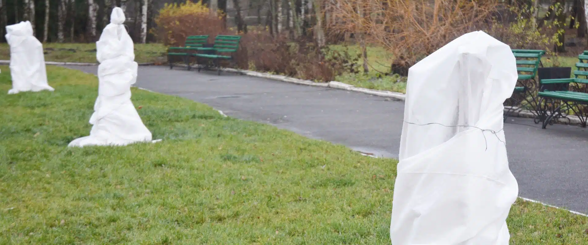 Navigating Northern New Jersey's Winter Chill: A Guide to Protecting Your Trees 1 Trees with burlap in preperation for winter snow.
