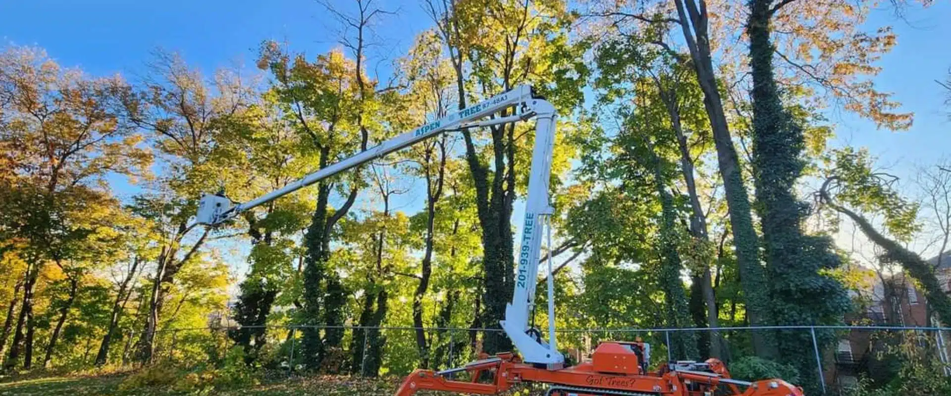 Advantages of Winter Tree Pruning in Northern New Jersey 1 An Aspen Tree Service professional works from a boom lift elevated bucket toing some winter tree pruning.
