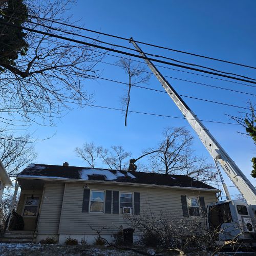 White crane lifting a cut tree over a client's house.