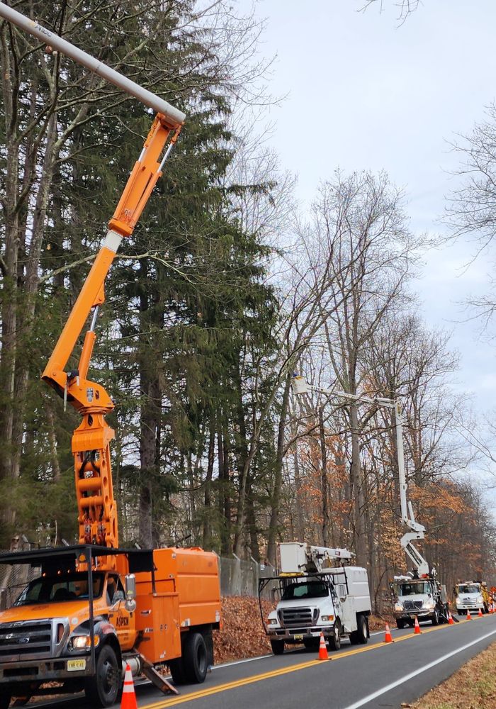 Aspen-website-pruning-section-roadside-clearance