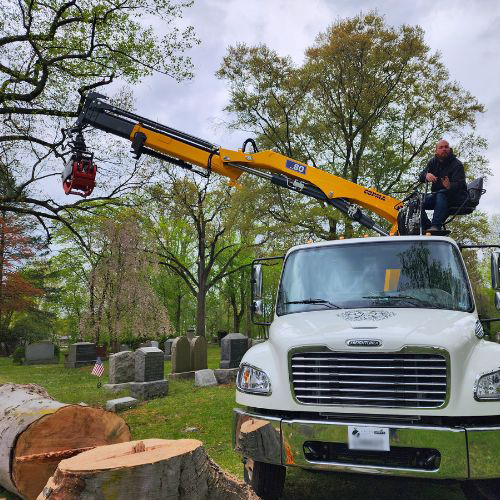 An Aspen Tree Service Inc. crane operator sitting on top of a grapple saw crane in a cemetery with a cut tree lying on the ground.