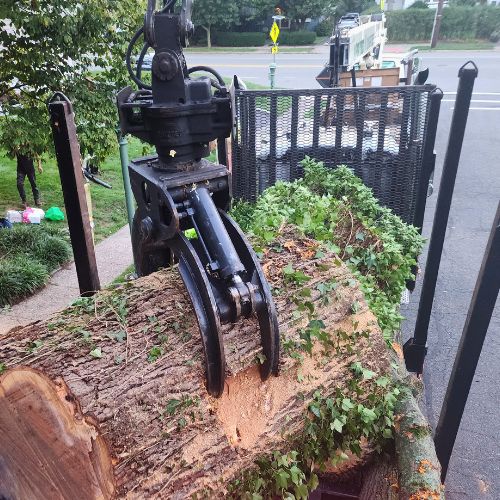 A black grapple moving a large section of trunk from a tree that has been cut down.