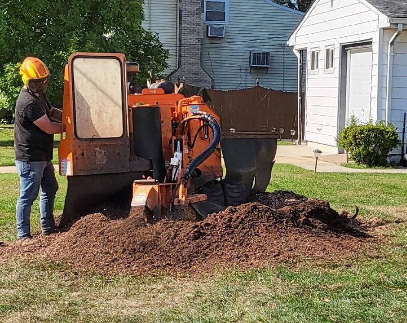 Aspen-website-removal-section-stump-grinding