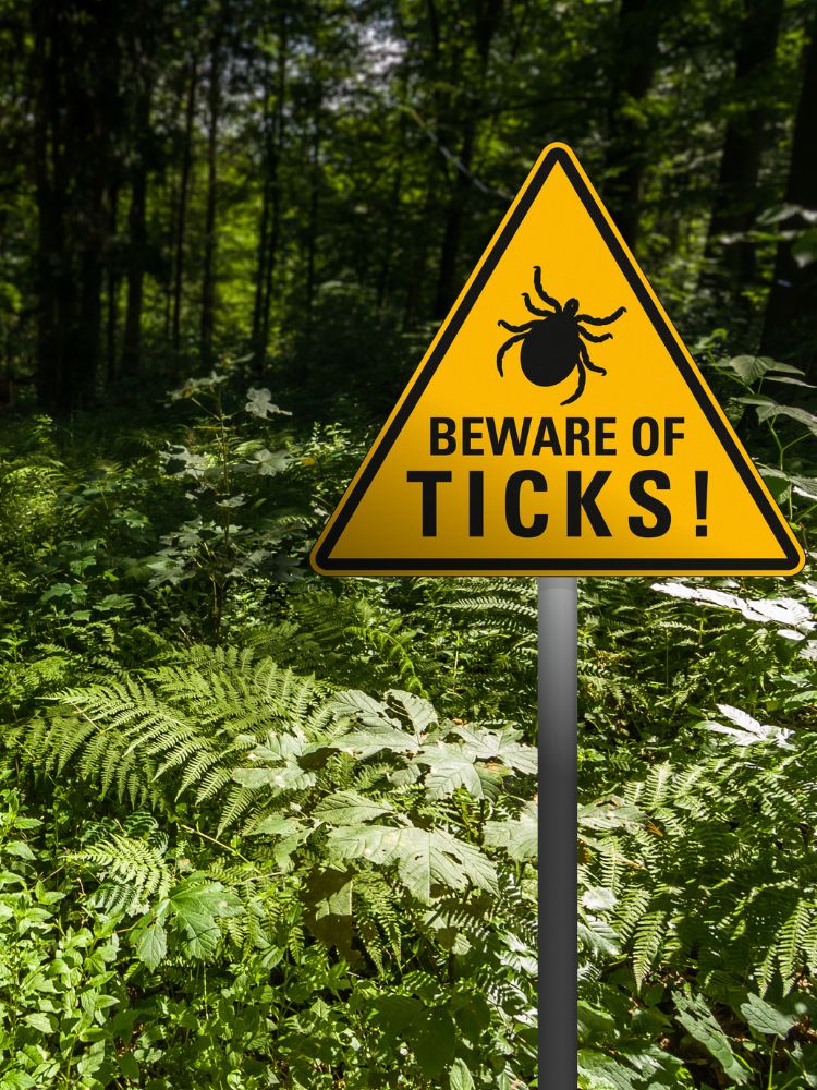 Aspen-website-tick-mosquito-section2-beware-of-ticks