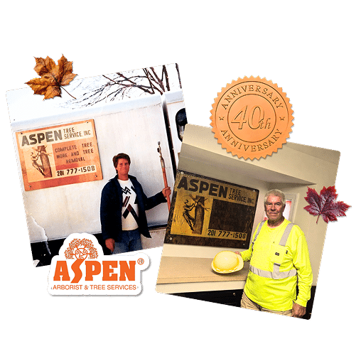 Aspen owner at company start with original logo next to recent photo showing him today with the same logo
