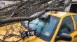 Look for signs of a hazardous tree to avoid your large tree from falling on a yellow Newark New Jersey taxicab.