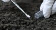 A gloved hand uses a metal probe to collect a soil sample into a glass test tube for laboratory analysis.