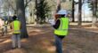 Tree care professionals in high-visibility vests inspecting mature trees in a wooded area.